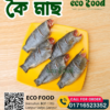 কৈ মাছ