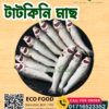 টাটকিনি মাছ